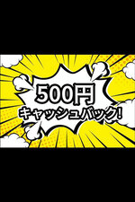 500�~�L���b�V���o�b�q�̎ʐ^2
